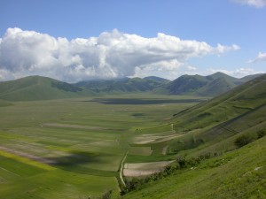 DSCN5222