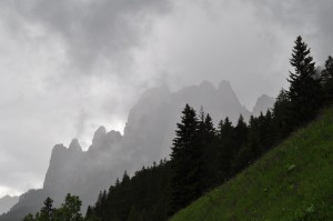 DSC_2023