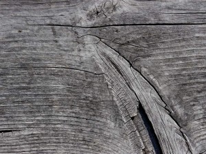 P1080535_m1