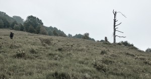 P1160128